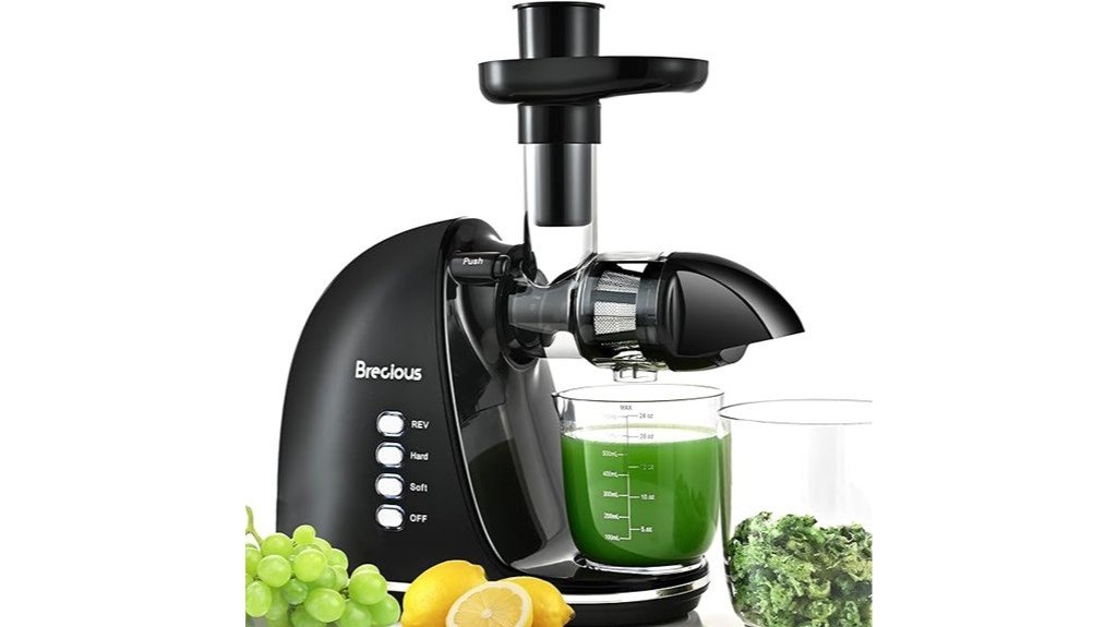 black slow masticating juicer