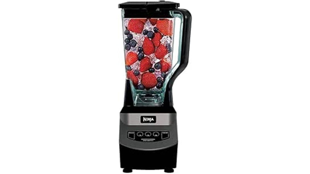 powerful blender for smoothies
