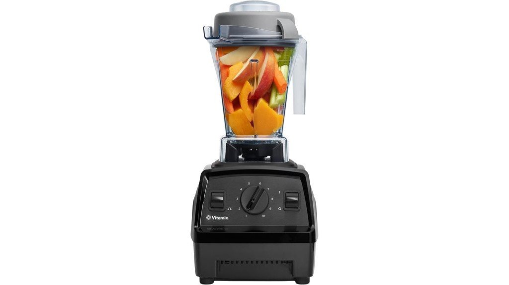 professional grade kitchen blender