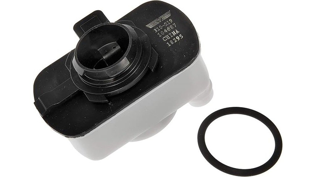 dorman 310 219 pump evaluation