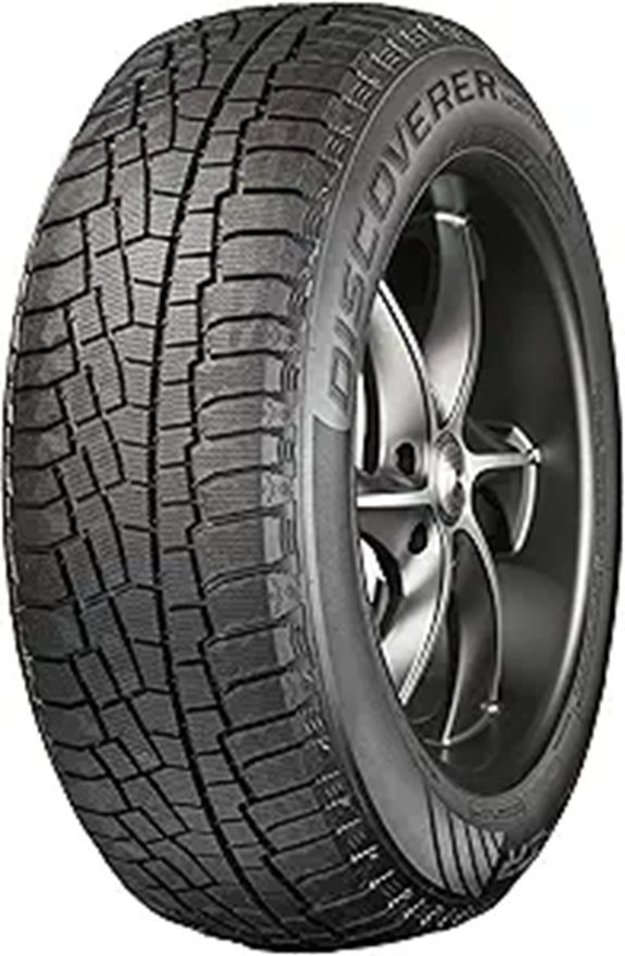 Cooper Discoverer True North Winter 205/55R16 91H Tire