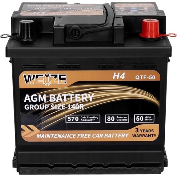 Weize Platinum AGM 12V 50Ah Automotive Battery