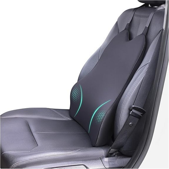 Lumbar Support Memory Foam Pillow for Cars