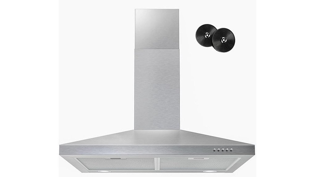 efficient and stylish range hood