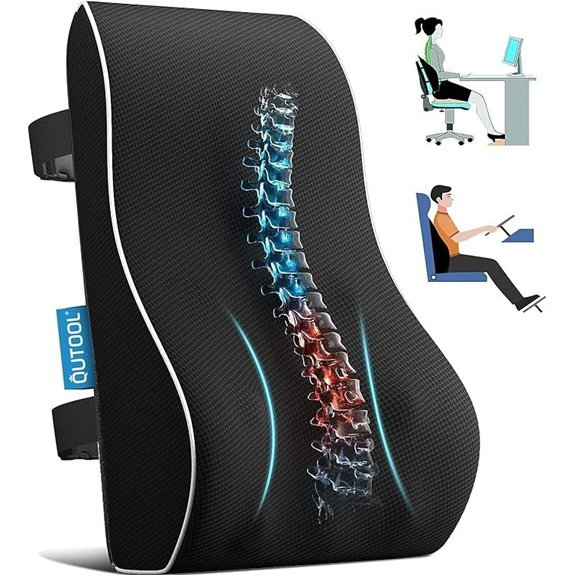 Lumbar Support Pillow for Office & Car Seats