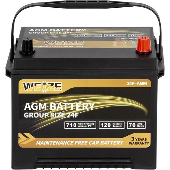 Weize Platinum AGM Group 24F Automotive Battery