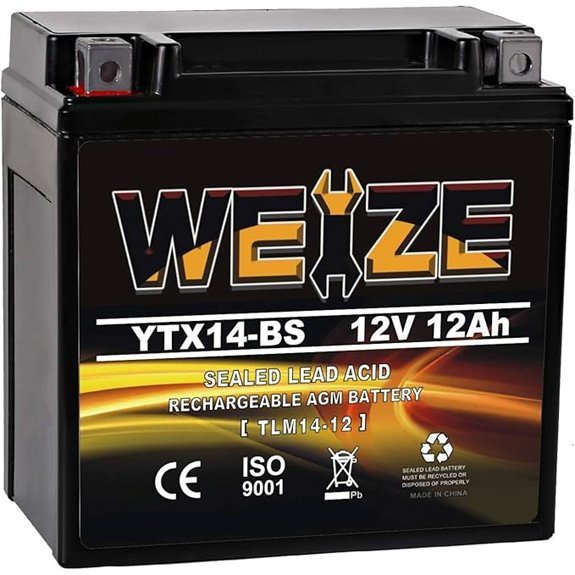 Weize YTX14-BS Sealed AGM Motorcycle & ATV Battery