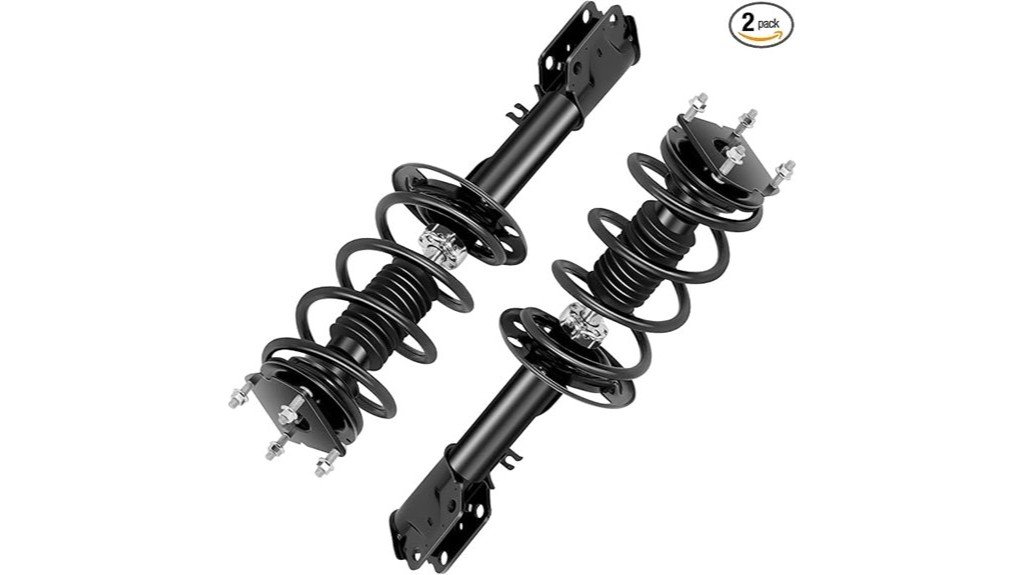 struts and springs assembly